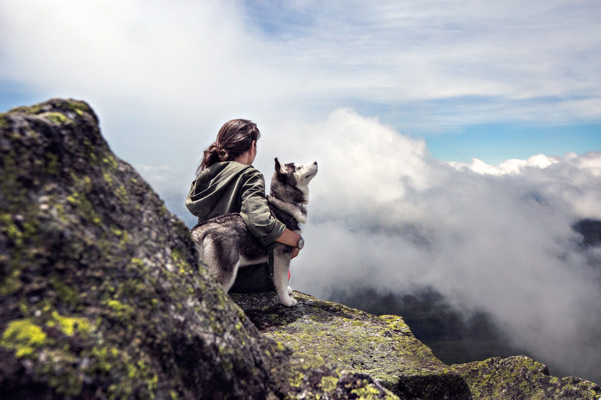 Top 6 Canmore Pet-Friendly Vacation Rentals